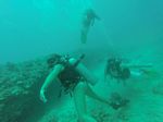 Hawaii Scuba divng 22