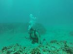 Hawaii Scuba divng 23