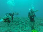 Hawaii Scuba divng 29