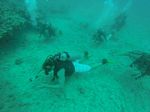 Hawaii Scuba divng 32