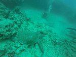 Hawaii Scuba divng 35