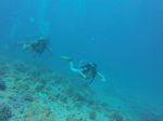 Hawaii Scuba divng 43