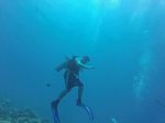 Hawaii Scuba divng 45