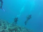 Hawaii Scuba divng 46