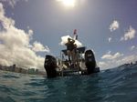 Hawaii Scuba divng 49