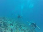 Hawaii Scuba divng 51