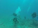 Hawaii Scuba divng 58