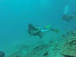 Hawaii Scuba divng 59