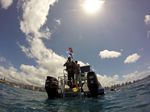 Hawaii Scuba divng 60