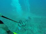 Hawaii Scuba divng 66