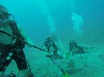 Hawaii Scuba divng 71