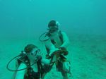 Hawaii Scuba divng 75