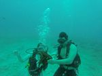 Hawaii Scuba divng 78