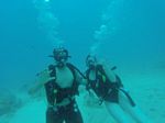 Hawaii Scuba divng 79