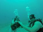 Hawaii Scuba divng 81