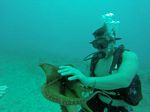 Hawaii Scuba divng 84