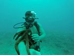 Hawaii Scuba divng 86