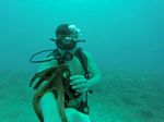 Hawaii Scuba divng 86