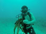 Hawaii Scuba divng 87