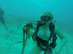 Hawaii Scuba divng 99