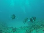 Hawaii Scuba divng 09