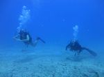 Hawaii scuba 28