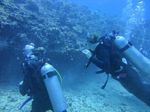 Hawaii scuba 88