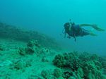 Hawaii Scuba divng 12