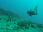 Hawaii Scuba divng 13