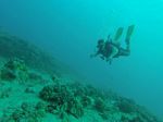 Hawaii Scuba divng 14