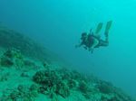 Hawaii Scuba divng 14