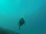 Hawaii Scuba divng 27