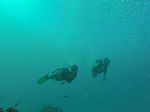 Hawaii Scuba divng 28