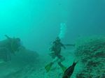 Hawaii Scuba divng 32