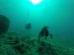 Hawaii Scuba divng 34