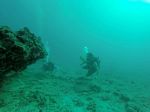 Hawaii Scuba divng 37