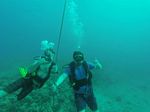 Hawaii Scuba divng 04