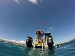 Hawaii Scuba divng 51