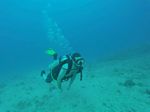 Hawaii Scuba divng 57