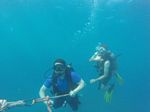 Hawaii Scuba divng 61