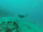 Hawaii Scuba divng 68
