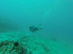 Hawaii Scuba divng 69