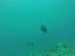 Hawaii Scuba divng 74