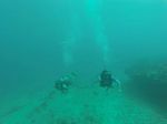 Hawaii Scuba divng 77