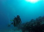 Hawaii Scuba divng 80