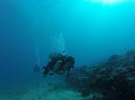 Hawaii Scuba divng 81