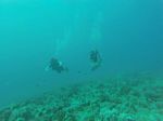 Hawaii Scuba divng 85