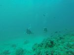 Hawaii Scuba divng 89