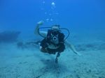 Oahu scuba 12