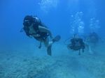 Oahu scuba 18